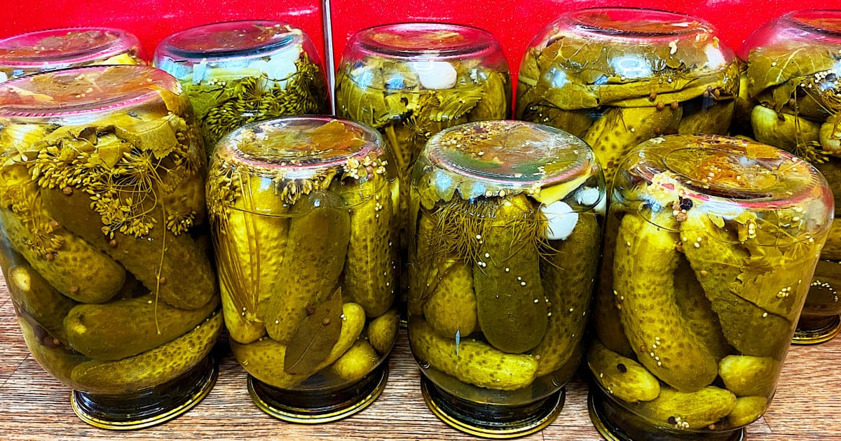 Закрываем огурцы на зиму без стерилизации: проверенный летний рецепт