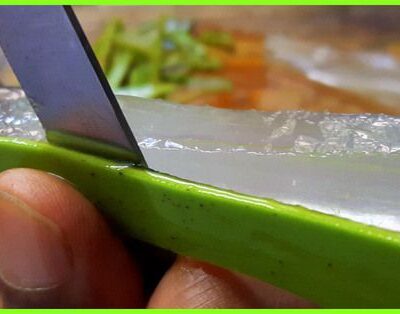 Секреты стройности звезд: как алоэ помогает похудеть