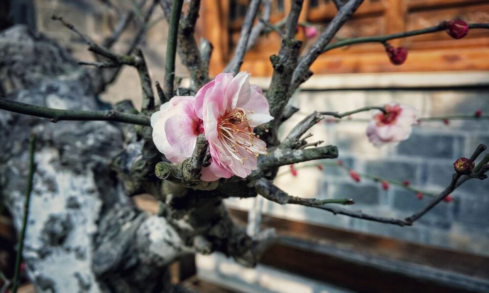 Готовим сад к зиме: чем заняться в саду и огороде в теплую погоду