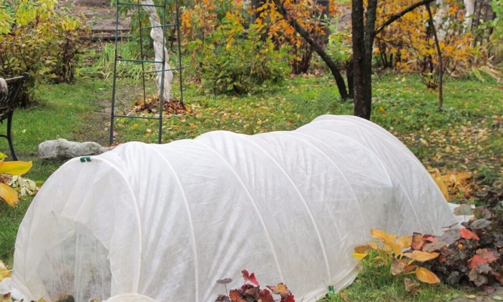 5 частых осенних ошибок в доме и как их избежать