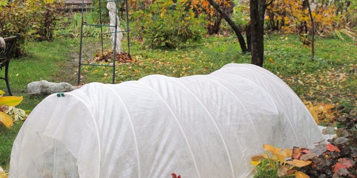 5 частых осенних ошибок в доме и как их избежать