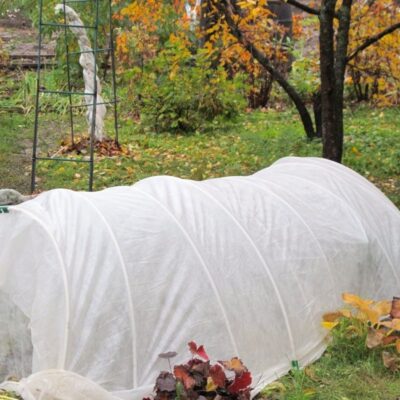 5 частых осенних ошибок в доме и как их избежать