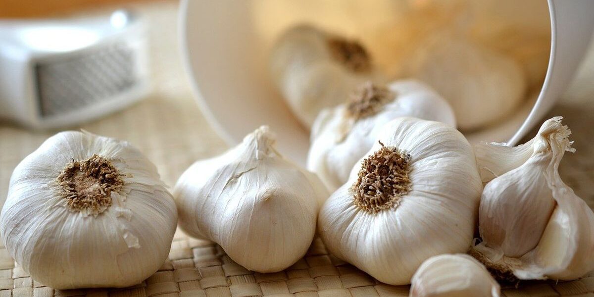 Как сохранить чеснок до весны: секреты опытных хозяек