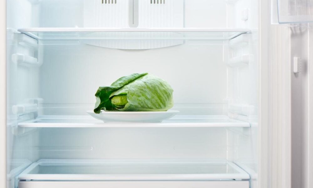 Секреты чистоты: как добиться блеска полок в холодильнике, как опытные хозяйки