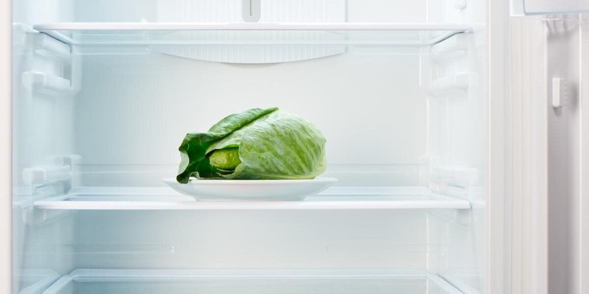 Секреты чистоты: как добиться блеска полок в холодильнике, как опытные хозяйки