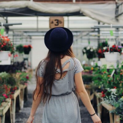 комнатные цветы для начинающих, простые комнатные растения, уход за комнатными цветами новичкам, легкие в уходе цветы, комнатные растения для дома, начинающий цветовод, правила цветоводства, выбор комнатных растений, комнатные растения для новичков, уход за цветами дома