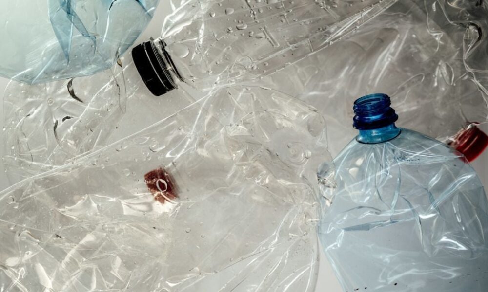 Лайфхак для дачниц: как пластиковые бутылки спасут ваш урожай