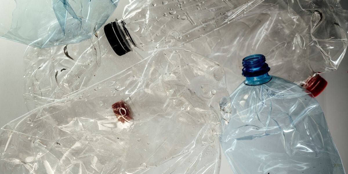 Лайфхак для дачниц: как пластиковые бутылки спасут ваш урожай