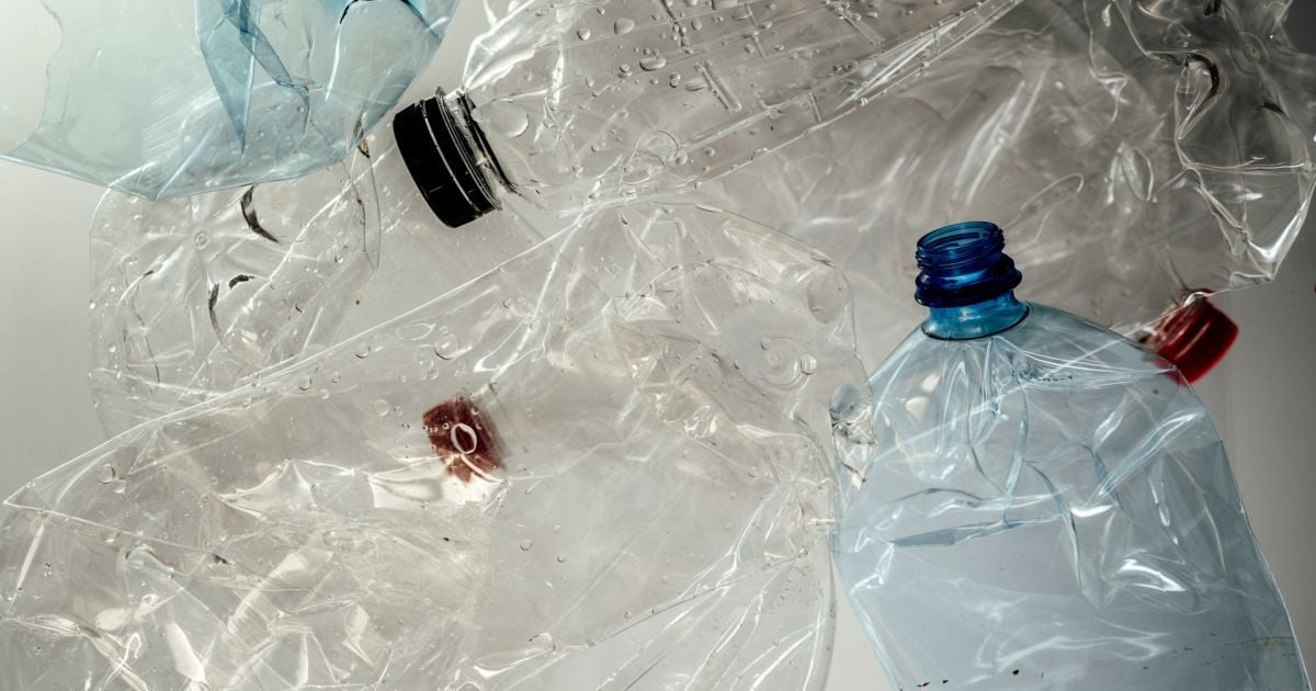 Лайфхак для дачниц: как пластиковые бутылки спасут ваш урожай