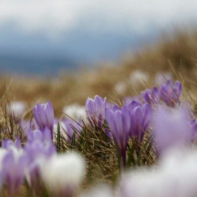 Народные приметы и советы для дома на 27 марта: что стоит и чего не стоит делать