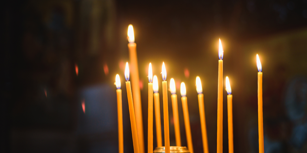 11 февраля: Церковный праздник и советы для садоводов: почему не стоит работать в этот день