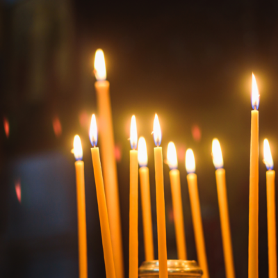 11 февраля: Церковный праздник и советы для садоводов: почему не стоит работать в этот день