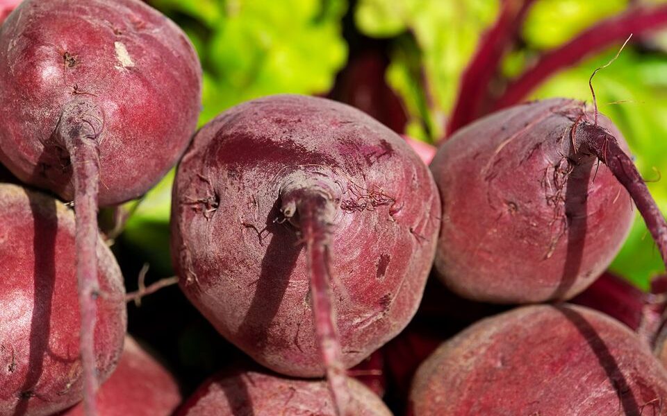 Удвоим урожай свеклы: секреты июльской подкормки для пышных корнеплодов