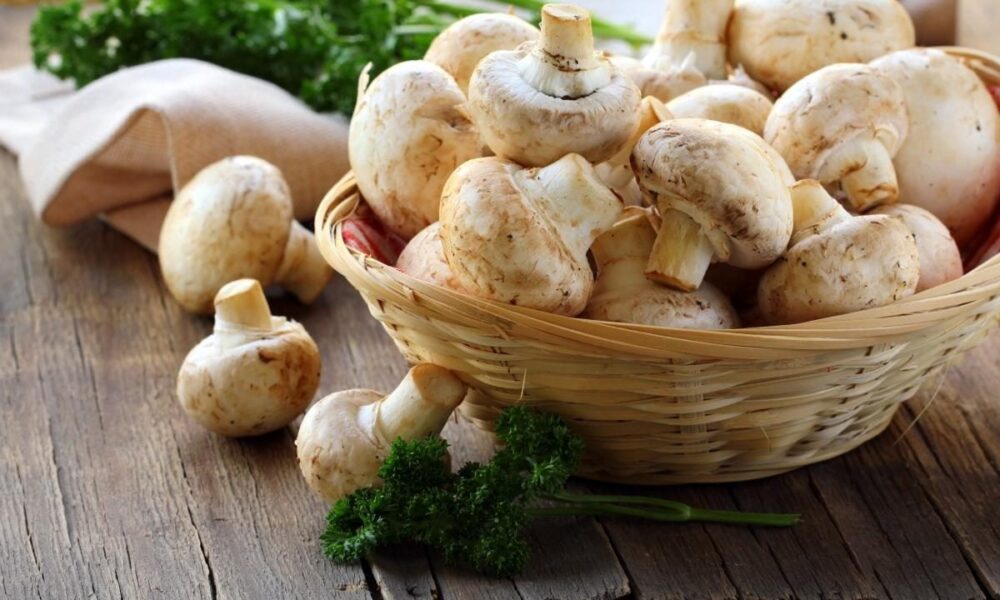 Секреты приготовления шампиньонов: чистить или нет?