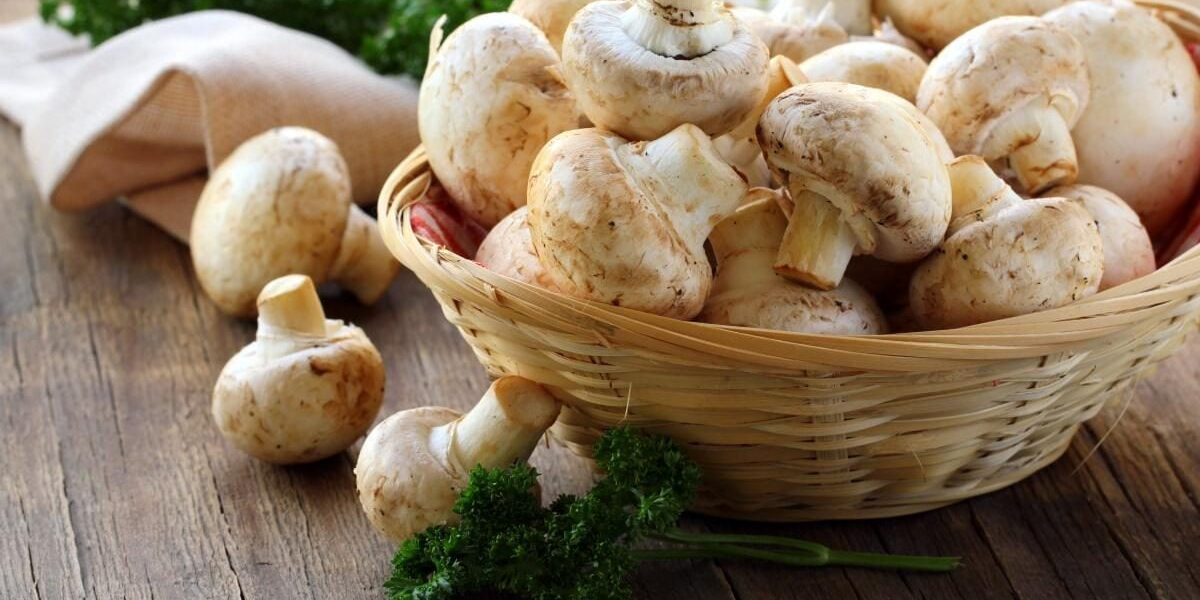 Секреты приготовления шампиньонов: чистить или нет?