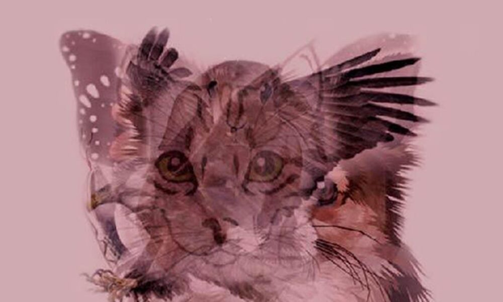 Какой образ вы увидели первым? Узнайте о себе больше через психологический тест