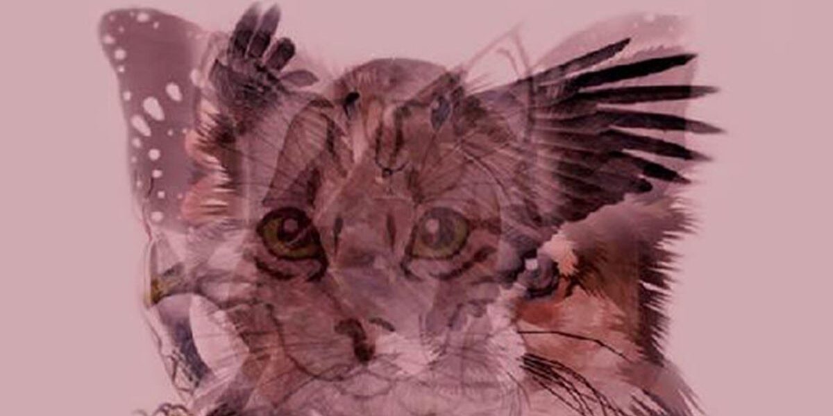 Какой образ вы увидели первым? Узнайте о себе больше через психологический тест