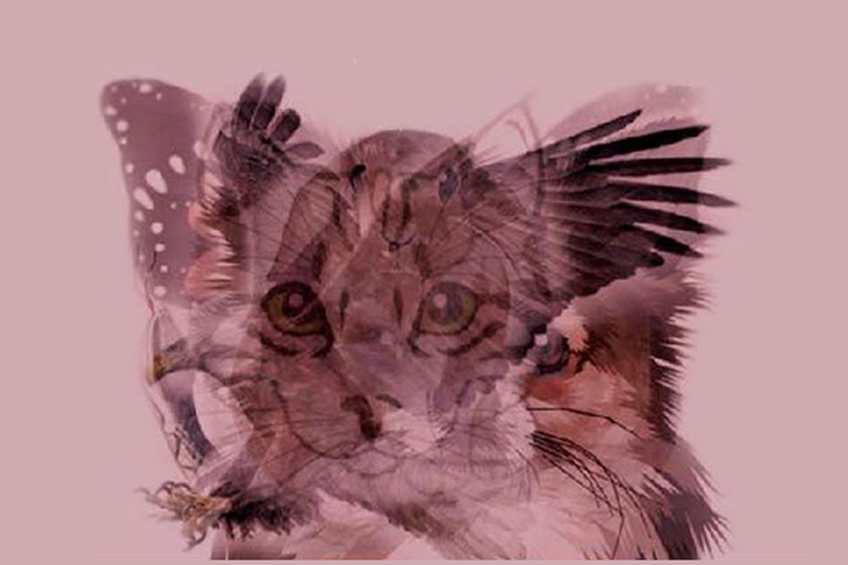 Какой образ вы увидели первым? Узнайте о себе больше через психологический тест