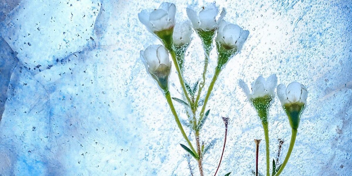 Именины 23 февраля: кому дарить поздравления и теплые слова