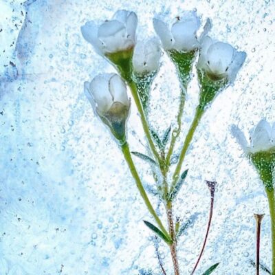 Именины 23 февраля: кому дарить поздравления и теплые слова