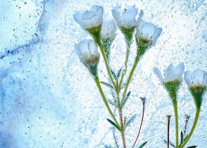 Именины 23 февраля: кому дарить поздравления и теплые слова