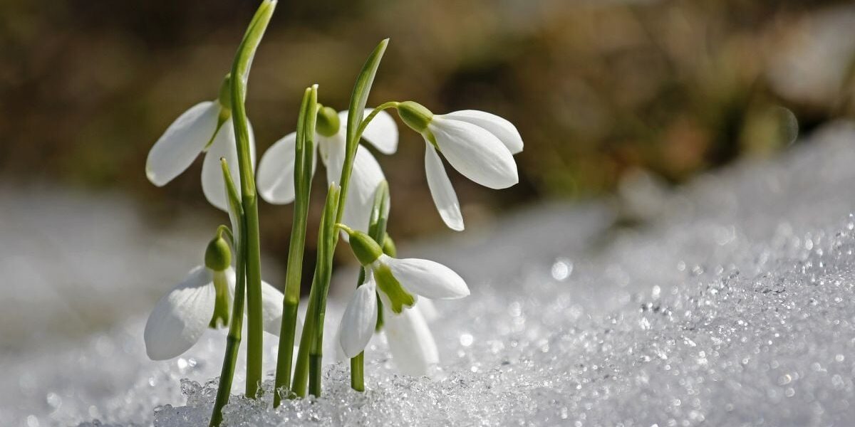 Именины 11 марта, День ангела 11 марта, поздравления с именинами 11 марта, кого поздравить 11 марта, праздники 11 марта, значение имени 11 марта, день рождения ангела 11 марта, традиции именины 11 марта, как поздравить с именинами, подарки на именины 11 марта