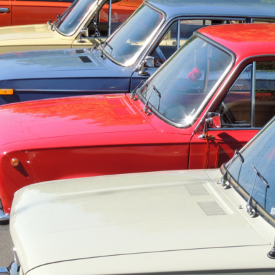 Секреты цветов "Жигулей": почему черные машины были редкостью и как это связано с вашим садом