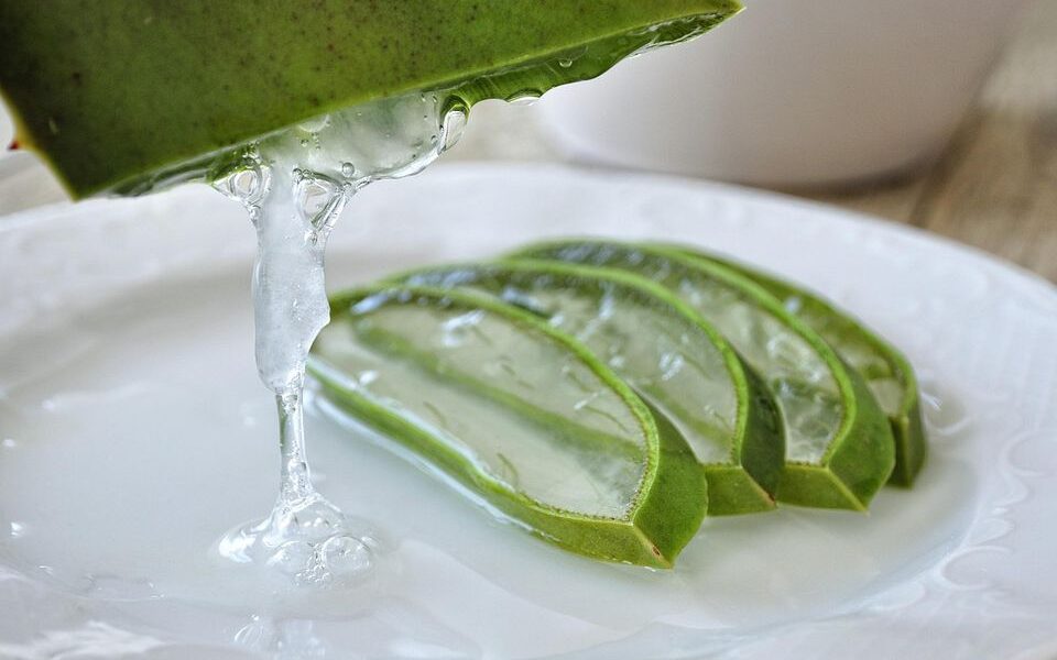 Алоэ вера для молодости кожи: домашние секреты красоты, как у звезд
