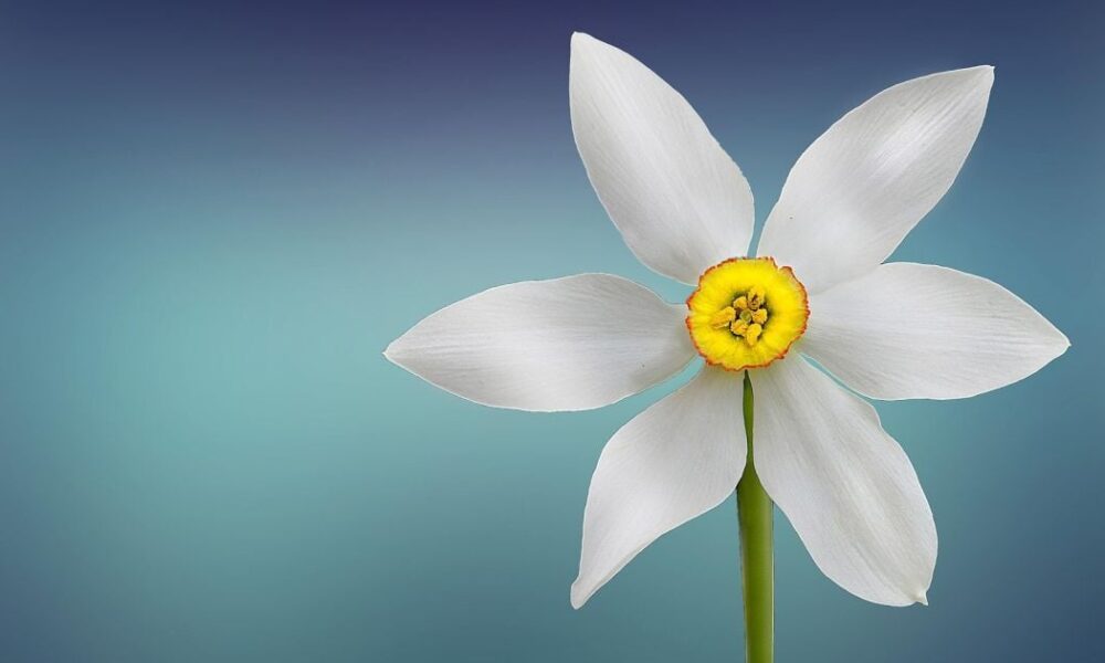 Именины 9 марта: традиции празднования и кому дарить поздравления