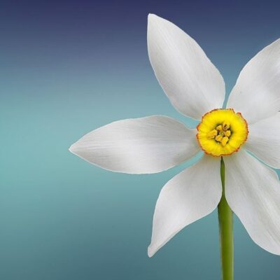 Именины 9 марта: традиции празднования и кому дарить поздравления