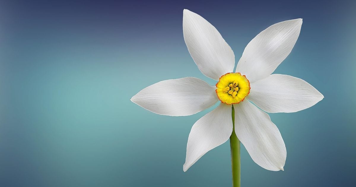 Именины 9 марта: традиции празднования и кому дарить поздравления