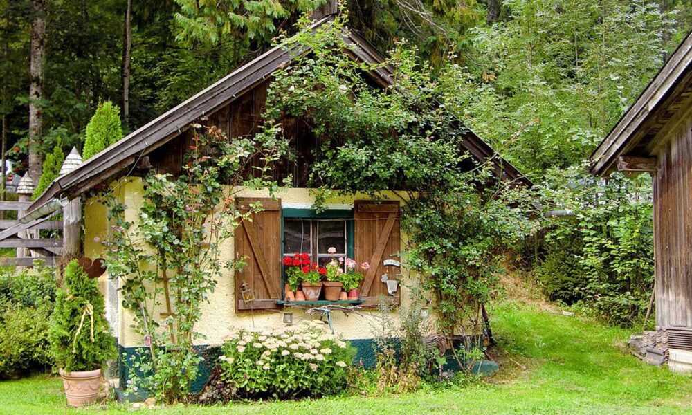 Типичные ошибки садоводов: как избежать разочарований и ошибок