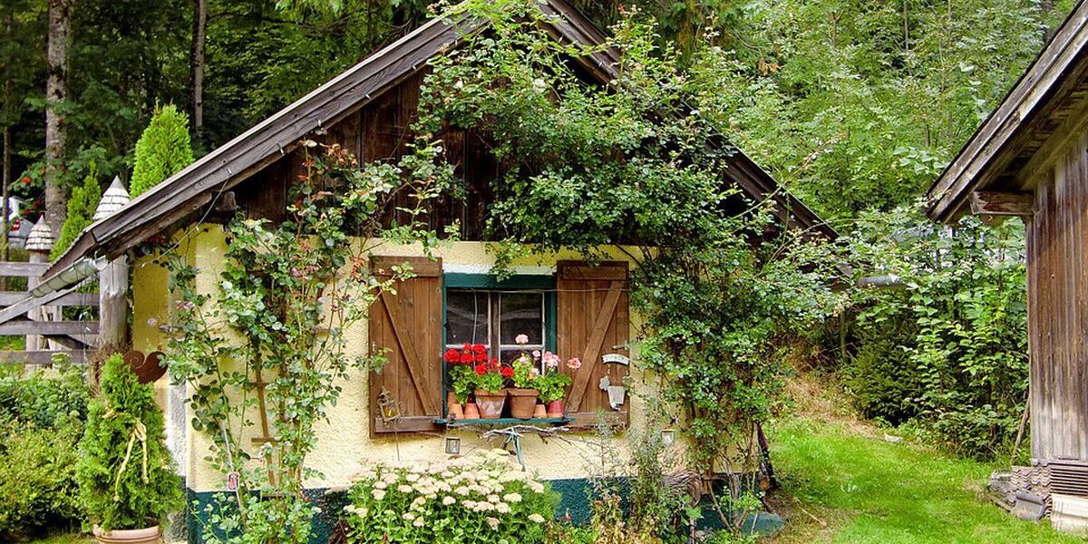 Типичные ошибки садоводов: как избежать разочарований и ошибок