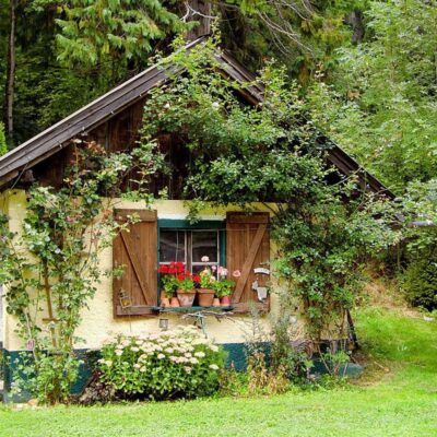 Типичные ошибки садоводов: как избежать разочарований и ошибок