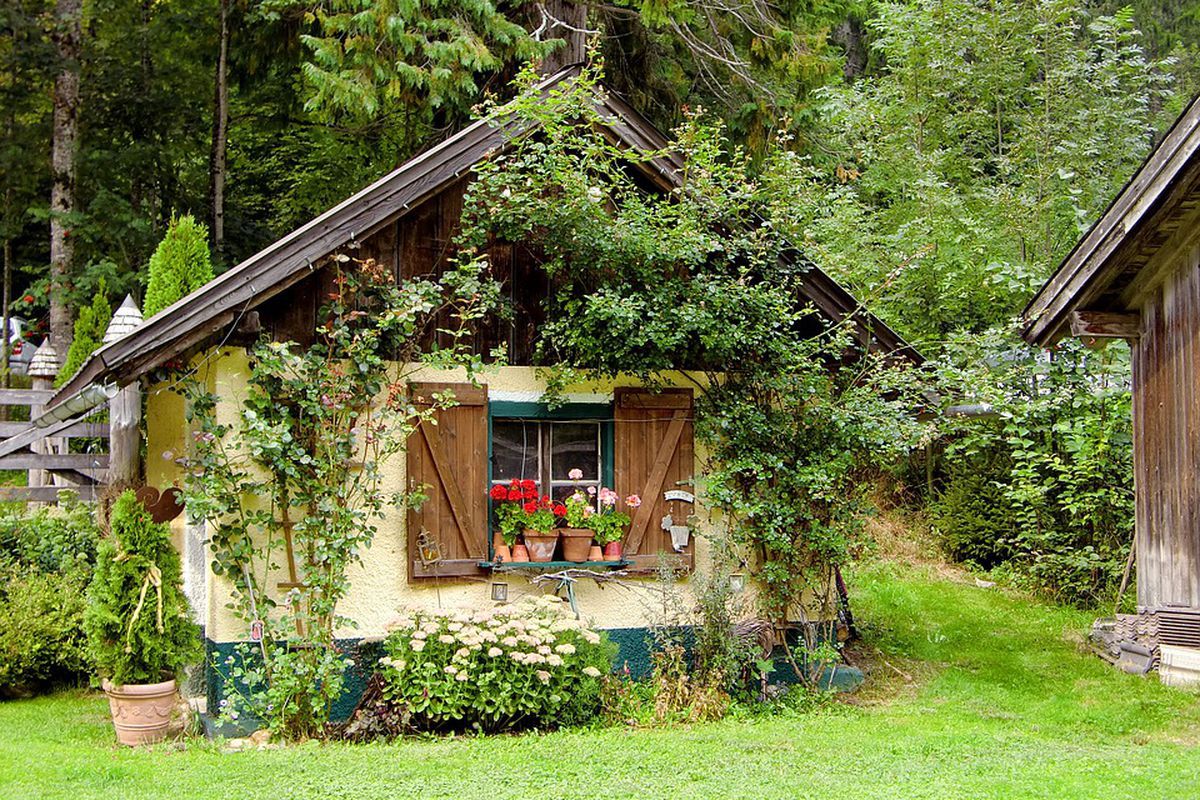 Типичные ошибки садоводов: как избежать разочарований и ошибок