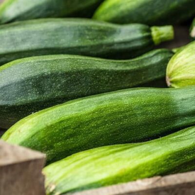 Выращиваем кабачки на даче: простой уход и богатый урожай