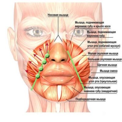 Как избавиться от морщин на лице: секреты молодости звезд