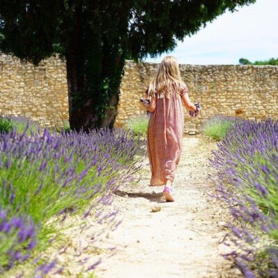 Лаванда на даче: секреты выращивания и ухода для каждой женщины