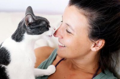 Семь причин, почему кошка станет идеальным другом для каждой женщины