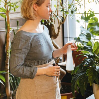 Натуральная подкормка для комнатных цветов: бюджетно и эффективно