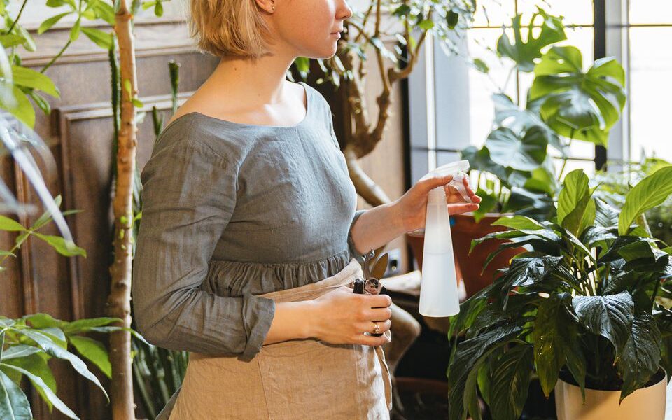 Натуральная подкормка для комнатных цветов: бюджетно и эффективно