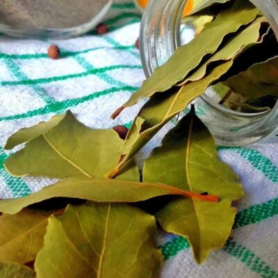 Лайфхак для дома: лавровый лист у батареи подарит неожиданный аромат и комфорт