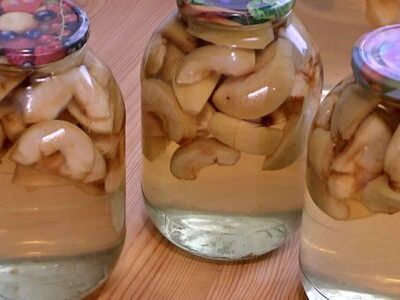 Рецепты домашних компотов на зиму: ароматные яблочные напитки