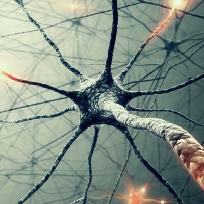 12 ранних симптомов рассеянного склероза у женщин: будьте внимательны