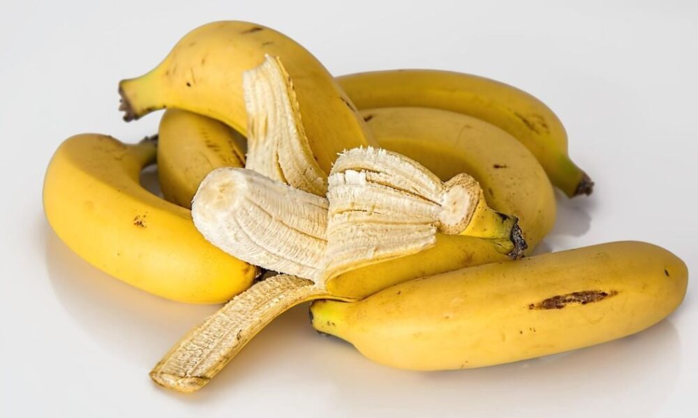 Секреты пышного сада: советы для современных женщин