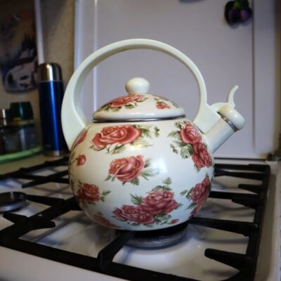 Чистота на кухне: народные средства от накипи в чайнике