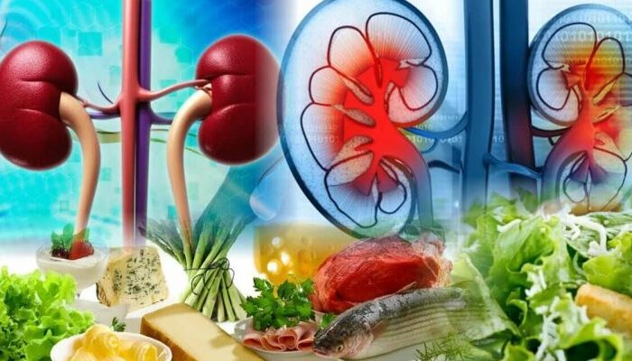 продукты для здоровья почек, женское здоровье почки, лучшие продукты для почек, питание для почек, поддержка женских почек, здоровые почки женщины, рецепты для почек, диета для почек, профилактика болезней почек, натуральные средства для почек