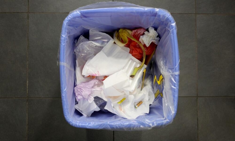 Как избавиться от запаха из мусорного ведра: секреты опытных хозяек