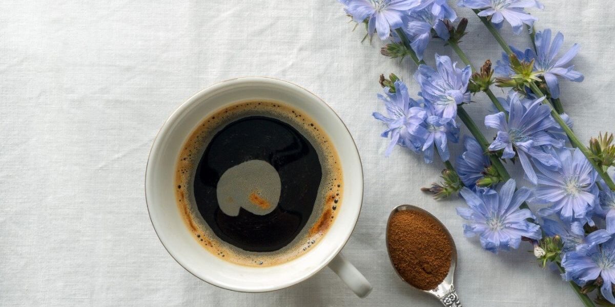 Цикорий вместо кофе: польза, вред и секреты идеального напитка для уюта дома