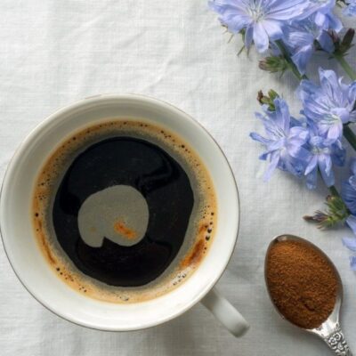 Цикорий вместо кофе: польза, вред и секреты идеального напитка для уюта дома